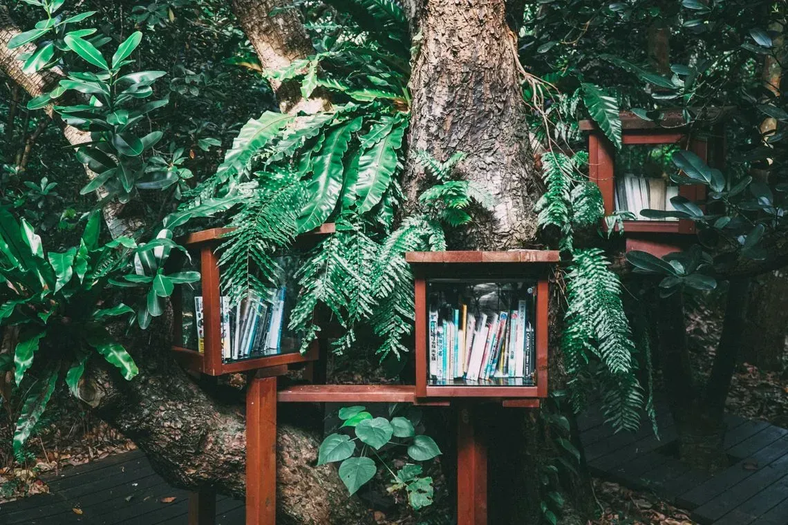 The best books I read in 2021